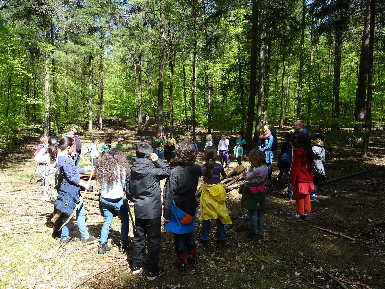 Kinder auf einem Schulausflug in den Wald.